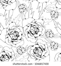 Seamless pattern with flowers. Hand-drawn vector illustration
