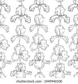 Flores de patrón sin foco Iris gráficos negras y blancas ilustraciones vectoriales