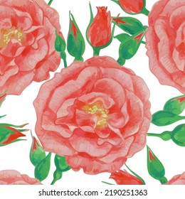 Seamless pattern of flowers. Large red roses on a white background.