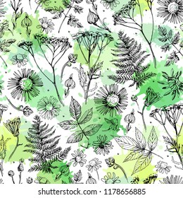 Seamless pattern with flowers, leaves and grass. Freehand drawing