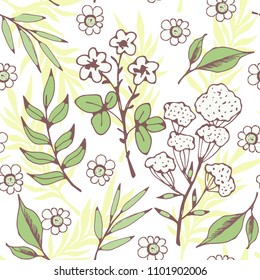 Seamless pattern with flowers, leaves, herbs. Floral background texture. Summer print. Fabric design