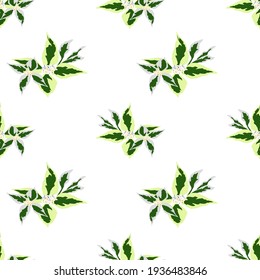 Seamless pattern with flowers and leaves on a white background. Vector illustration for decoration and design of clothing, notebooks, mugs, sketches, albums.