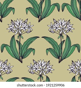 Seamless pattern of flowers and leaves of ramsons, bear onions. Vector stock illustration eps10. 