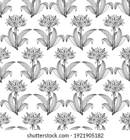 Seamless pattern of flowers and leaves of ramsons, bear onions. Vector stock illustration eps10. 