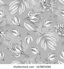 Seamless Pattern with flowers and leaves of ylang-ylang . Detailed hand-drawn sketches, vector botanical illustration. 