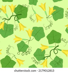 seamless pattern flowers and leaves of zucchini