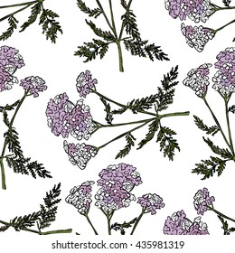 Seamless pattern with flowers milfoil