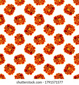 Seamless pattern with flowers. Orange marigold