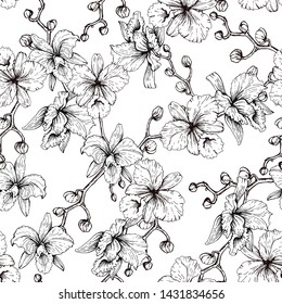 Seamless pattern of flowers of orchids. Black and white image of flowers on a white background.