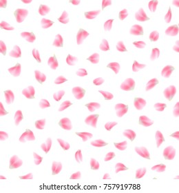 Seamless pattern with flowers petals, isolated on white background. Flat lay, top view. And also includes EPS 10 vector
