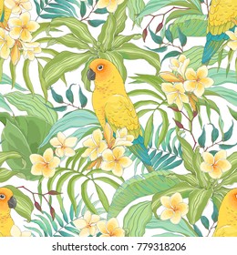 Seamless pattern with flowers Plumeria, leaves and Parrot Sun Conure. Vector illustration in vintage style on white background.