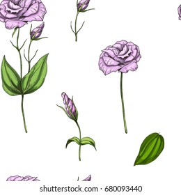 Seamless pattern with flowers of roses isolated on white background. Vector