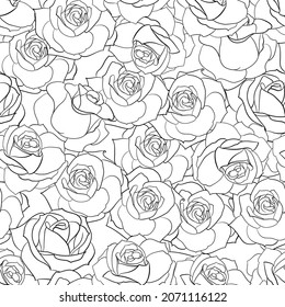 Seamless pattern from flowers of roses on a white background.