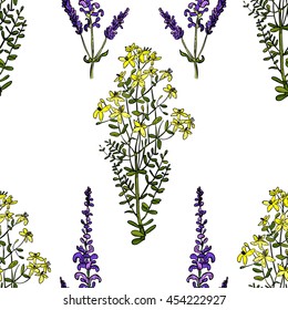 Seamless pattern with flowers of sage and St. John's wort