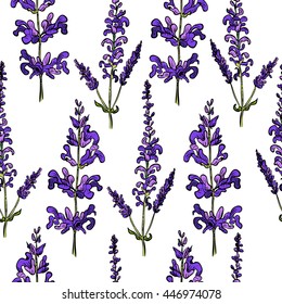 Seamless pattern with flowers of salvia on white background