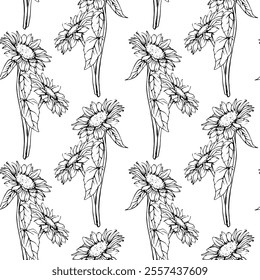 Seamless Pattern with Flowers Sunflowers in line art style. Vector Autumn ornament with chamomile painted by black inks. Hand Drawn engraving Bouquet of daisies for wallpaper. Sketch outline