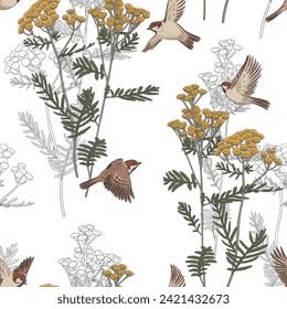 seamless pattern with flowers of tansy and sparrow birds, vector drawing wild plants at white background , hand drawn natural illustration, cover design