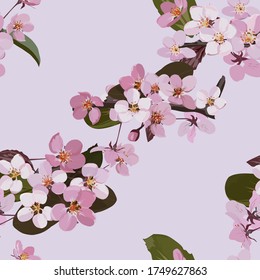 
Seamless pattern. Flowers of white and pink sakura on a delicate lilac background.