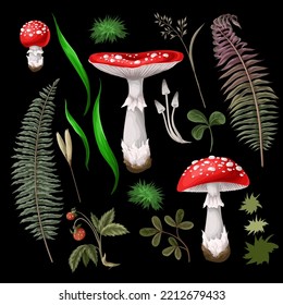 Seamless pattern with fly agarics. Vector