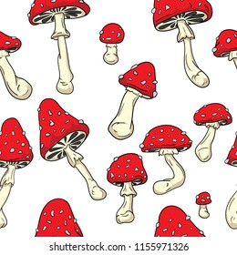 Seamless pattern with fly-agaric mushroom of white background