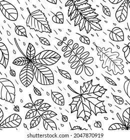 Seamless pattern with flying autumn leaves and rain. Doodle style. Black and white linear image.For the design of backgrounds, wallpapers, textures, fabrics, wrapping paper, etc.Vector