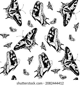 Seamless pattern of flying butterflies black and white colors Monochrome background of fluttering silhouettes Vector illustration