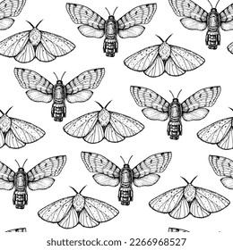 Seamless pattern of flying butterflies. Hand-drawn vector illustration. Butterfly sketch. 
