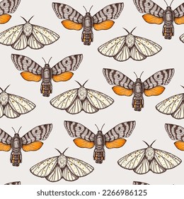 Patrón sin foco de mariposas voladoras. Ilustración vectorial dibujada a mano.