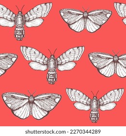 Patrón sin foco de mariposas voladoras. Ilustración vectorial dibujada a mano. Esbozo de mariposa.