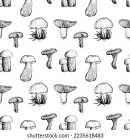 Seamless pattern with forest assorted mushrooms on a white background. Hand drawn vector illustration