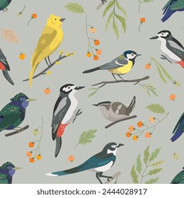 Patrón sin fisuras con aves, hojas y bayas del bosque. Pájaro carpintero, estornino, urraca, martillo amarillo, teta, nuthatch.