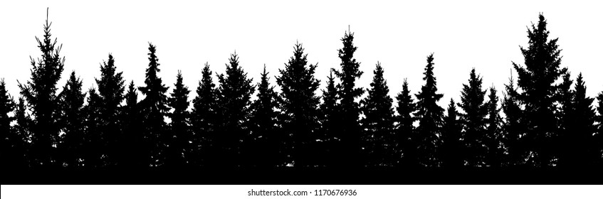 Seamless pattern. Forest of Christmas fir trees silhouette. Coniferous spruce. 