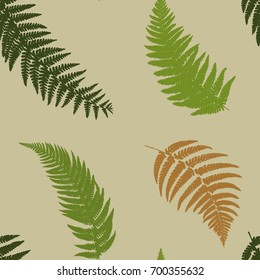 Seamless pattern from forest ferns. Vector illustration.