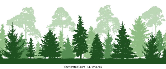 Seamless pattern of forest (firs, pines trees), silhouette. Vector