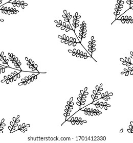 seamless pattern forest leaves hand drawn vector. autumnal garden leaf Isolated on white background. Botanical forest plants or september october tree foliage