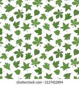 Seamless pattern with forest leaves. Isolated on a white background. Fashion botanical foliage fabric design.