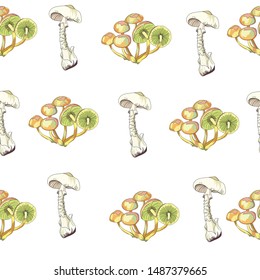 Seamless pattern with forest mushrooms. Bright toadstools on a white background for printing, packaging, paper, textile design. Vector illustration