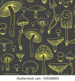 Seamless pattern with Forest mushrooms - vector outline hand drawn sketch. Collection of different mushrooms with roots, real edible and poisoned boletus