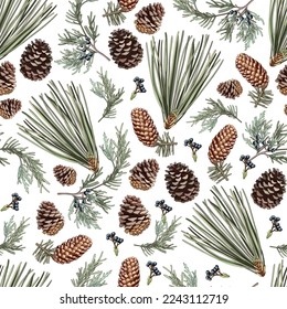 Seamless pattern with forest plants, pine, cones, juniper. Suitable for printing on fabric, textile, wrapping paper, decorative wallpaper, packaging, invitations.