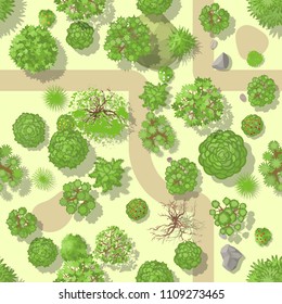 Seamless pattern. Forest top view. Various trees and plants. View from above.