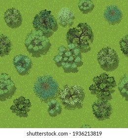 Seamless Pattern. Forest Top View. Park View From Above. 