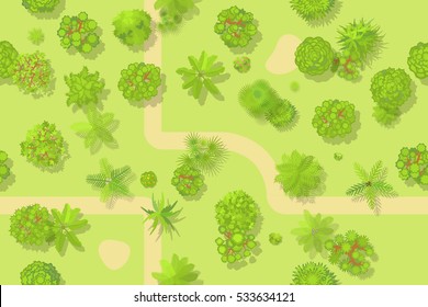 Seamless pattern. Forest top view. 
Various trees, palm trees and plants. View from above. 