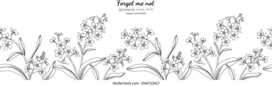 Forget Me Not Line Drawing Stock Illustrations Images Vectors Shutterstock