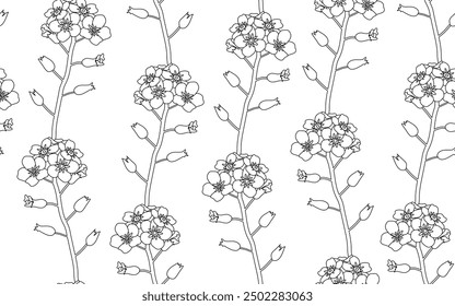 Patrón sin fisuras con flores de olvidar-me-not, una rama de Myosotis contorno flores sobre un fondo blanco. Uso para los patrones en la tela, ropa de cama, tarjetas de felicitación, carteles, etc. Ilustración vectorial