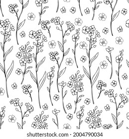 Seamless pattern Forget-me-not flowers vector illustration isolated on white background, colorful ink sketch, decorative herbal doodle, line art for design medicine, wedding invite, floral cosmetic