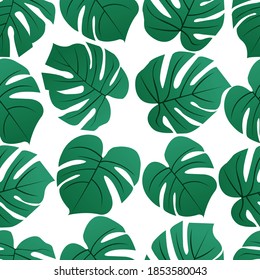 Seamless pattern in the form of monstera leaves on a white field for sewing patterns for gift wrapping, postcards.