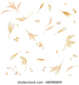Seamless pattern from four cereals in form of grains and ears / There are rye, barley, wheat, oats ears and grains
