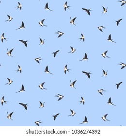 Seamless pattern of four colored swallow silhouettes on a light blue background. Flying birds in different views. Vector Design element.