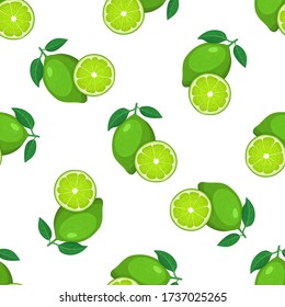 Seamless pattern with fresh bright exotic whole and half lime fruit on white background. Summer fruits for healthy lifestyle. Organic fruit. Cartoon style. Vector illustration for any design.