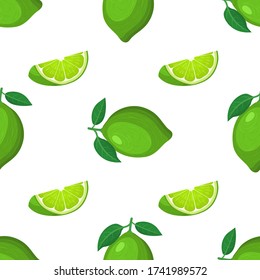 Patrón sin foco con todo exótico fresco y brillante y fruto de lima cortada sobre fondo blanco. Frutos de verano para un estilo de vida saludable. Fruta orgánica. Estilo de caricatura. Ilustración vectorial para cualquier diseño.